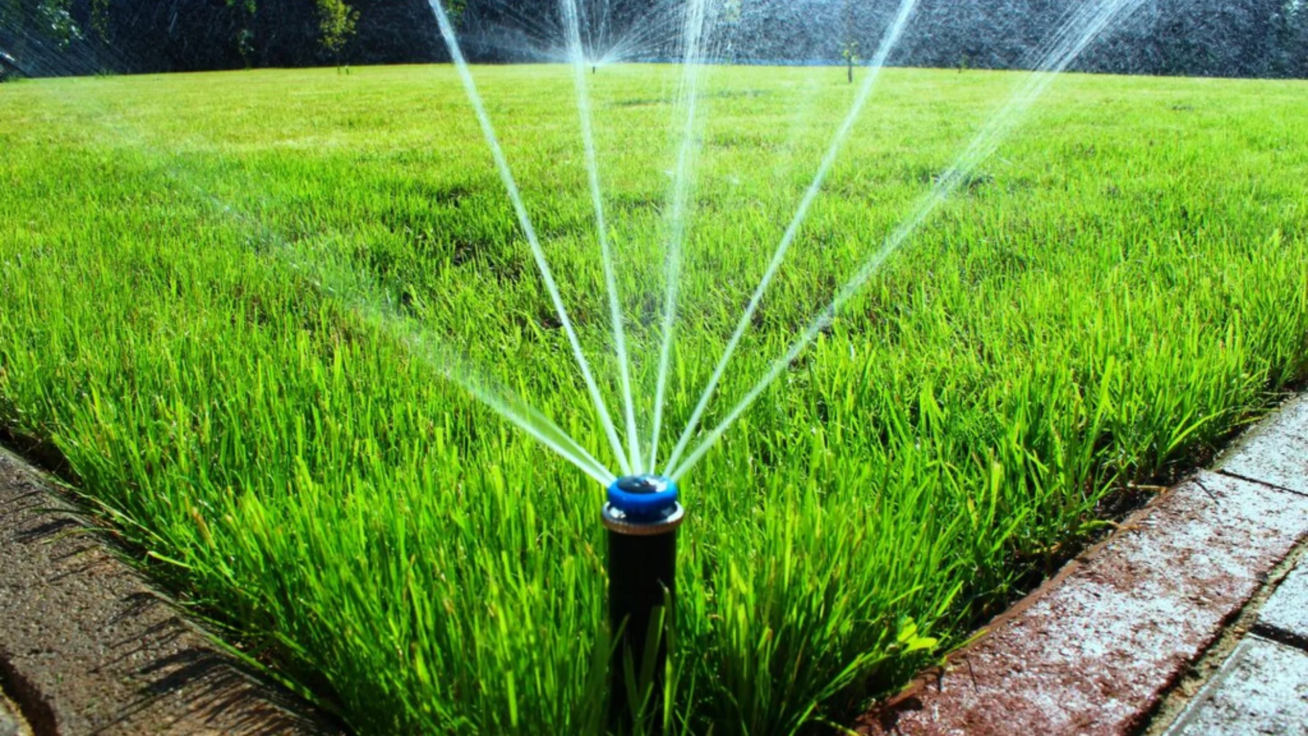 Частным клиентам